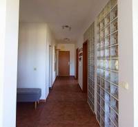 A hallway in a 3-room apartment with brown tiles and a glass block wall.