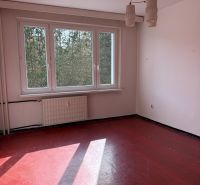 A room in a 2-room apartment with a large window, red floor, and a light fixture.