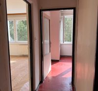 A narrow bright hallway with a red floor and a view of the rooms in a 2-room apartment.