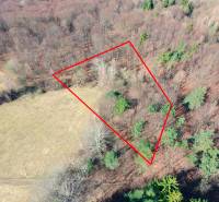 Forest lands in Lysá pod Makytou with clearly marked parcel.