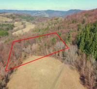 View of forest areas in Lysá pod Makytou, bordered by a red rectangle.
