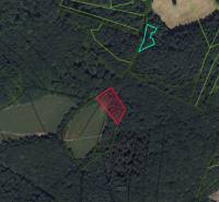 Aerial map of forest plots in the village of Lysá pod Makytou with marked land parcels.