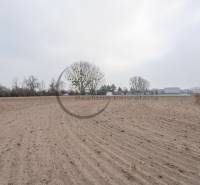 Commercial land on Priemyselná Street in Zohor with bare field and trees.