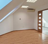 Attic offices with wood-decor flooring, air conditioning, and a skylight.