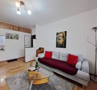 Living room in a 2-room apartment with a sofa, wooden decor, and an art painting.