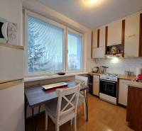 A kitchen in a 2-room apartment with a wooden decor floor and a view.