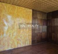 A room in the Gardens with a wood-patterned floor and yellow walls.