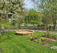 Gardens in Galanta full of flowers, vegetables, and blooming fruit trees.