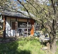 Gardens in Galanta with a cottage surrounded by trees and flowers in spring.
