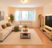A bright living room in a 4-room apartment with a wooden decor floor and a comfortable couch.