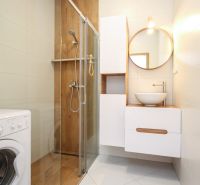 Bathroom with a sink, shower, and washing machine in a 2-room apartment.