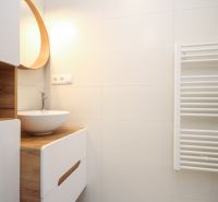 Bathroom in a 2-room apartment with a sink, wooden elements, and a ladder radiator.