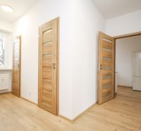 A hallway in a 2-room apartment with a wooden decor floor and wooden doors.