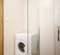 Bathroom in a 2-room apartment with a washing machine and a shower, with a floor featuring a wooden decor.