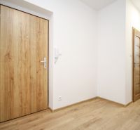Entrance hall with wood-patterned flooring in a 2-room apartment.