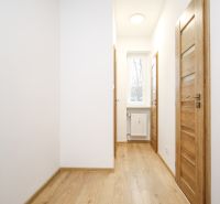 A hallway in a 2-room apartment with a wood-patterned floor and wooden doors.