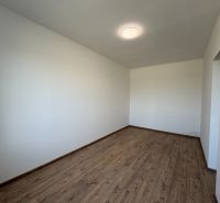 A room with white walls and a wooden decor floor in a family house.