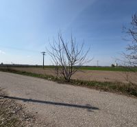 Countryside view near Zemianska Olča with dirt roads and leafy trees.