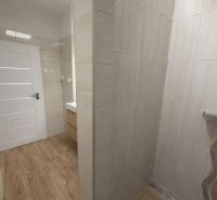 Shower corner, sink, and white door in a family house with a floor featuring a wood decor.