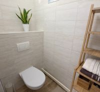 A toilet with a wooden shelf and tiles, family house.