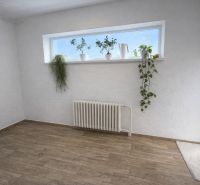 Interior with wood-patterned flooring, plants on the windowsill, white radiator.