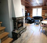 Interior of a cabin with a fireplace, leather sofas, and a floor with a wooden decor.