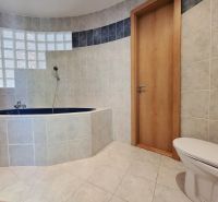 Bathroom with an oval bathtub, shower, and tiles in the Holiday Apartment.