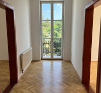 Interior on Štefánikova Street, two doors, parquet flooring, view of greenery from the office.