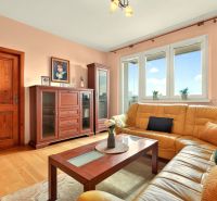 Living room in a three-room apartment with a wooden decor floor and a leather sofa.