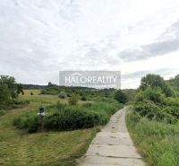 A path in the green gardens of Hlohovec, surrounded by grass and trees, under a cloudy sky.