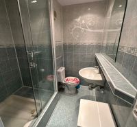 A bathroom in a studio apartment with a glass-enclosed shower and subtle tiling.