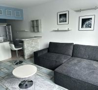Two-room apartment with wood-patterned flooring, a sofa, and a bar counter.