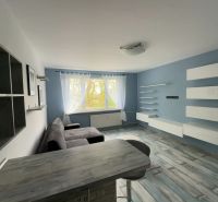 Living area in a studio apartment with a wooden decor floor and blue walls.