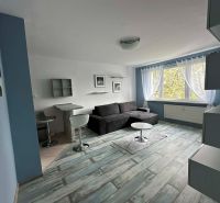 A studio apartment with a sofa, a bar counter, and a wooden decor floor.