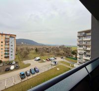IMG_2883.jpeg