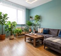 Living room in a 3-room apartment with a wooden decor floor, plants, and a sofa.