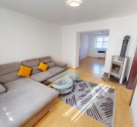 Living room in a 2-room apartment with a wooden decor floor and a fireplace.
