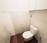 A toilet with tiles and a wooden decor floor in a 2-room apartment.