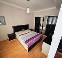 A bedroom with a bed, wardrobe, and wooden decor flooring in a two-room apartment.