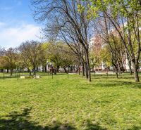 A park with a grassy area and trees in Bratislava - Podunajské Biskupice, on Estónska Street.