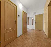 A hallway with doors and a wardrobe in a 3-room apartment.