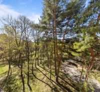 A view of a park full of trees near Estonian Street, Bratislava - Podunajské Biskupice.