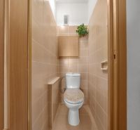 A toilet in a 3-room apartment with tiles and light-colored tiles, a plant on the wall.