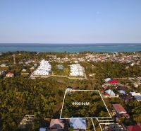 Commercial plots in Paje in Unguja South, with sea views and greenery.