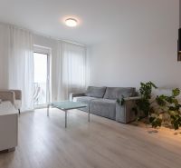 Living room in a two-room apartment with a sofa, table, and wooden decor flooring.