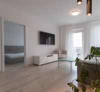 Living room in a two-room apartment with a wood-patterned floor and a balcony.
