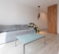 Living room in a two-room apartment with a sofa, glass table, and wooden decor flooring.