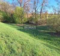 Plots - housing in Záhorce surrounded by greenery and trees, ideal for relaxation.