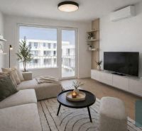 Living room with a sofa, TV, wooden floor decor, and plants in a two-room apartment.