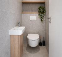 Bathroom in a 2-room apartment with a small sink and toilet, there is a plant on the shelf.